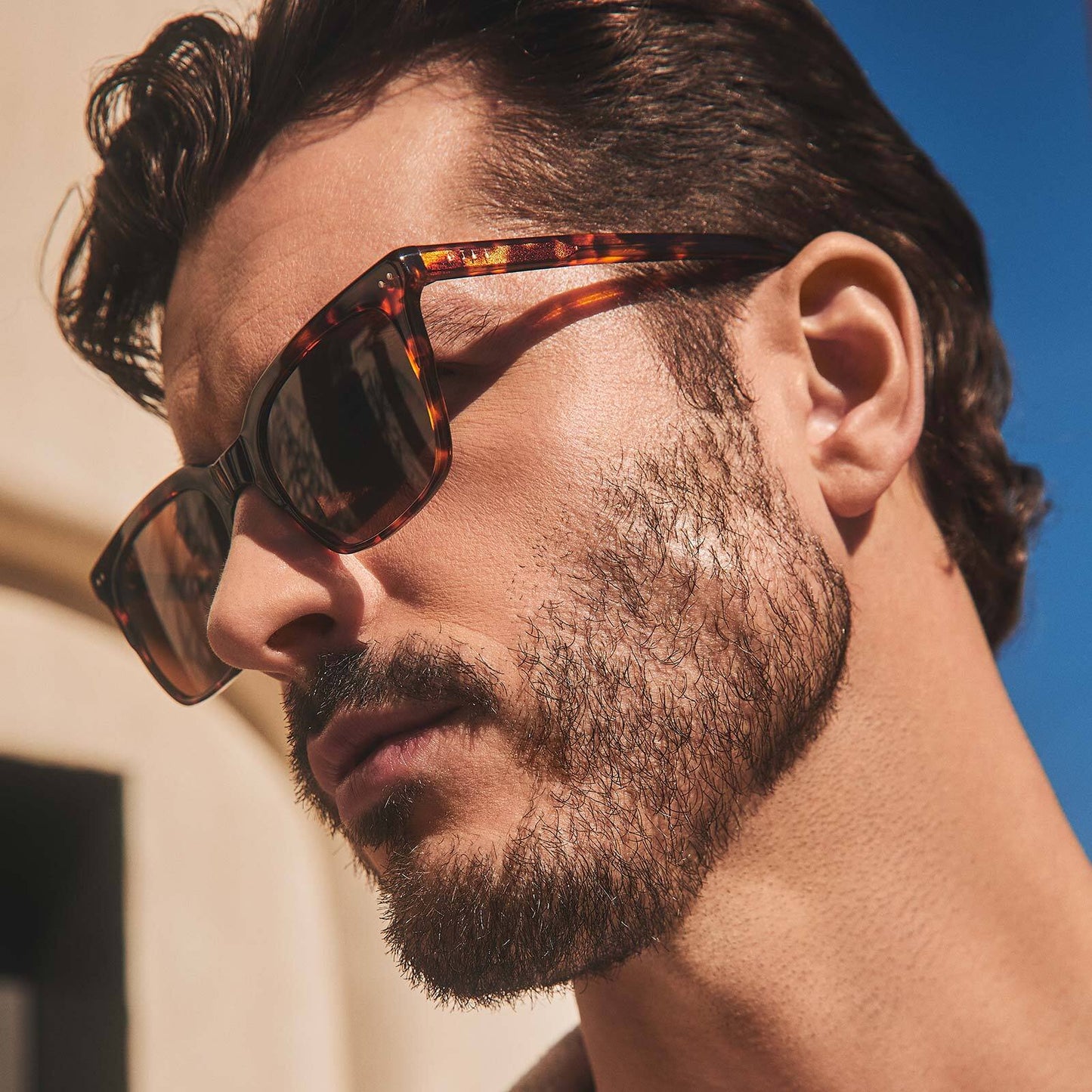 BILLIE XL - RICH TORTOISE + BROWN + POLARIZED SUNGLASSES