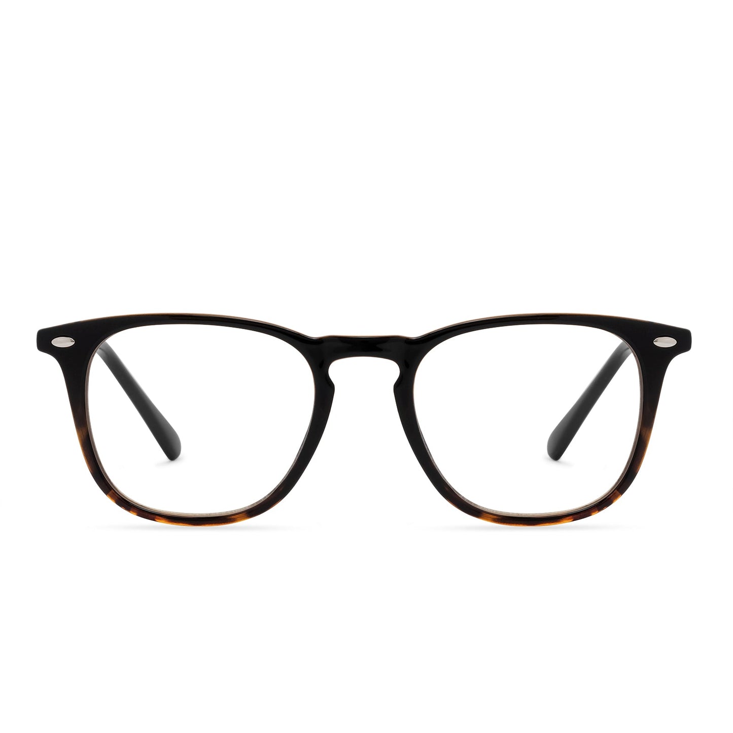 GRIFFIN - BLACK TORTOISE + BLUE LIGHT READERS