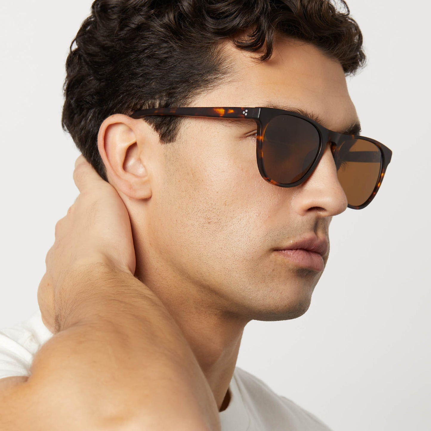 DARREN - MATTE RICH TORTOISE + BROWN + POLARIZED SUNGLASSES