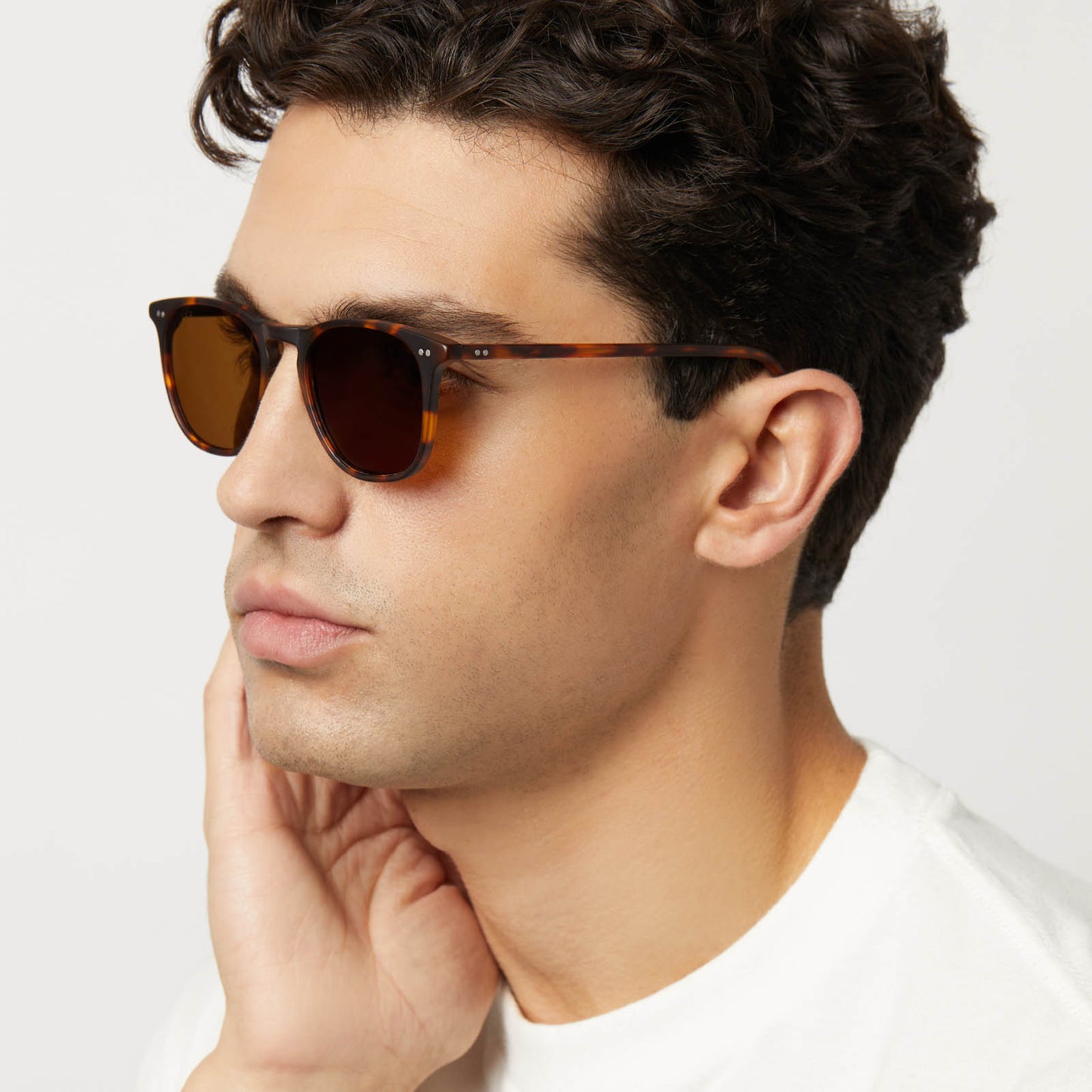 MAXWELL - MATTE RICH TORTOISE + BROWN + POLARIZED SUNGLASSES