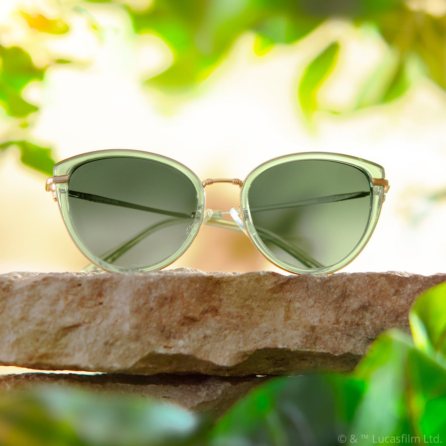 PRINCESS LEIA™ – ENDOR™ - TRANSLUCENT SAGE + GOLD + ENDOR™ FOREST MOON GREEN + POLARIZED SUNGLASSES