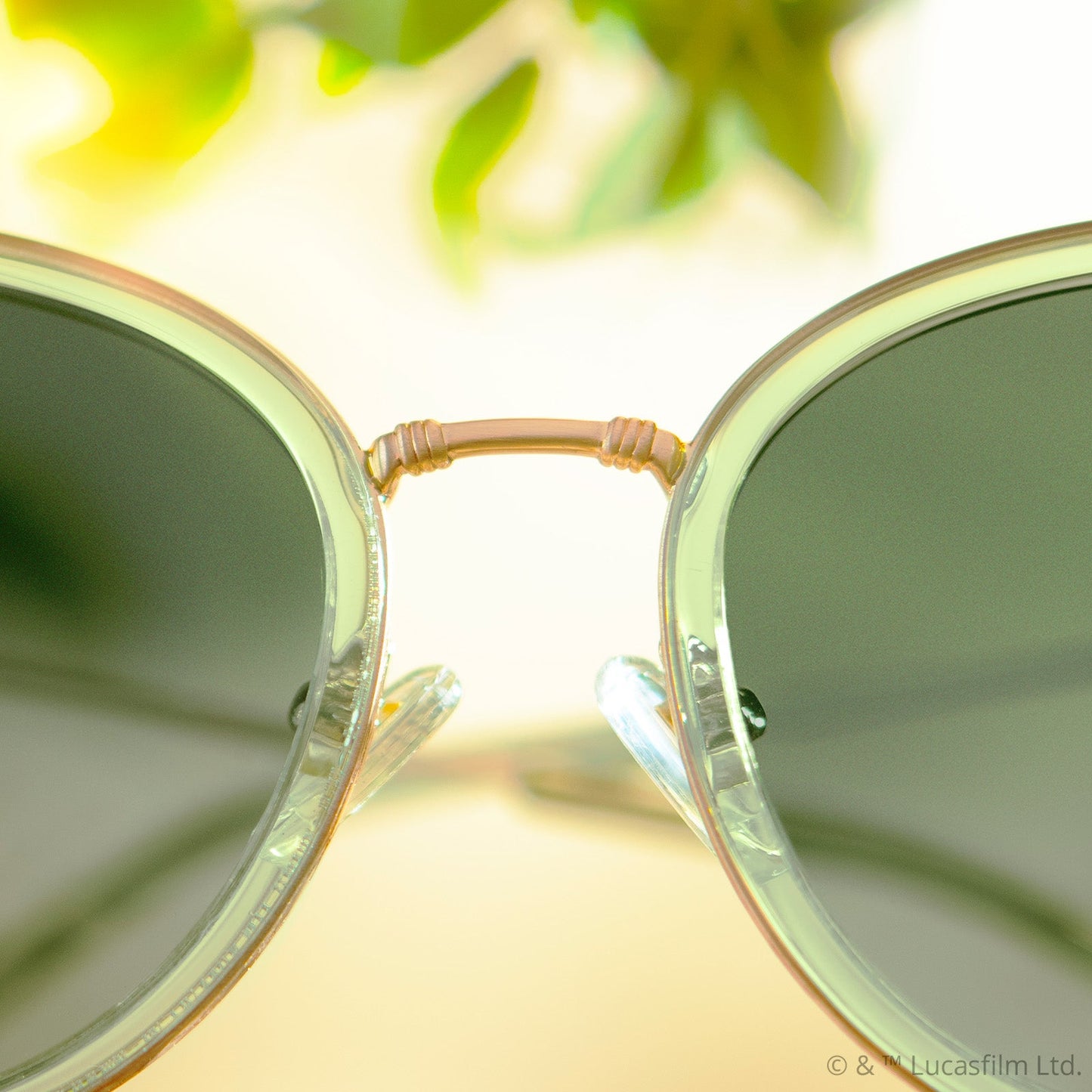 PRINCESS LEIA™ – ENDOR™ - TRANSLUCENT SAGE + GOLD + ENDOR™ FOREST MOON GREEN + POLARIZED SUNGLASSES