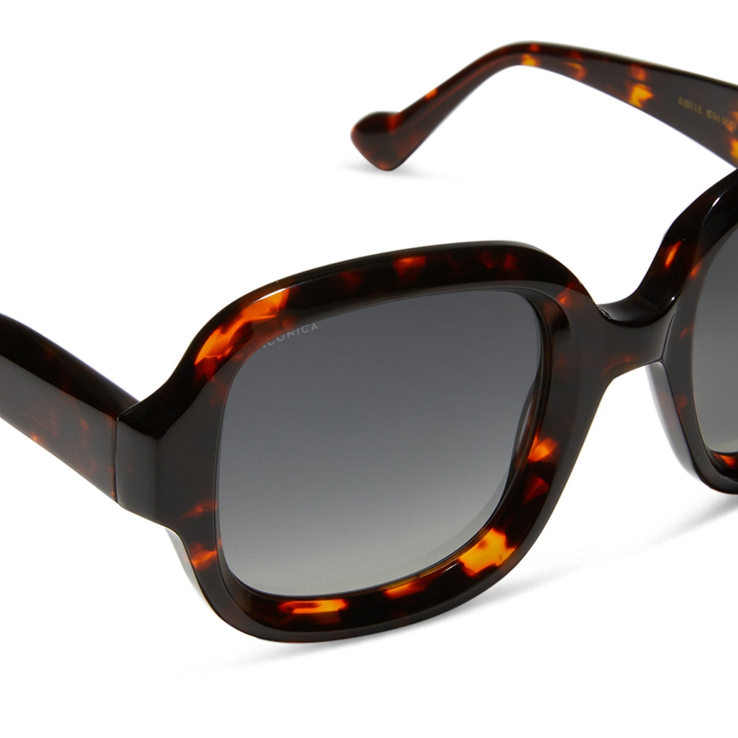 GISELE - RICH TORTOISE + GREY GRADIENT + POLARIZED SUNGLASSES