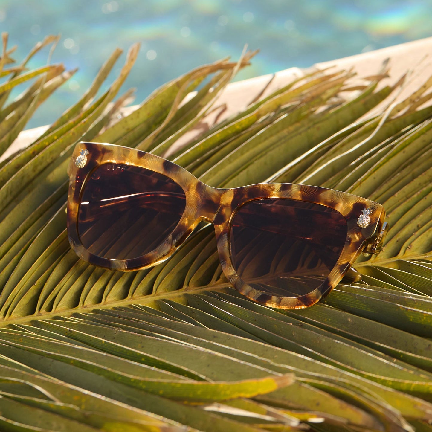 THE WHITE LOTUS - HAWAII + COCONUT PALM TORTOISE + BROWN SUGAR GRADIENT SUNGLASSES