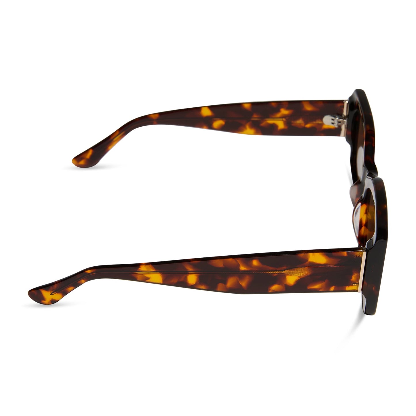 ALESSANDRA - RICH TORTOISE + BROWN + POLARIZED SUNGLASSES