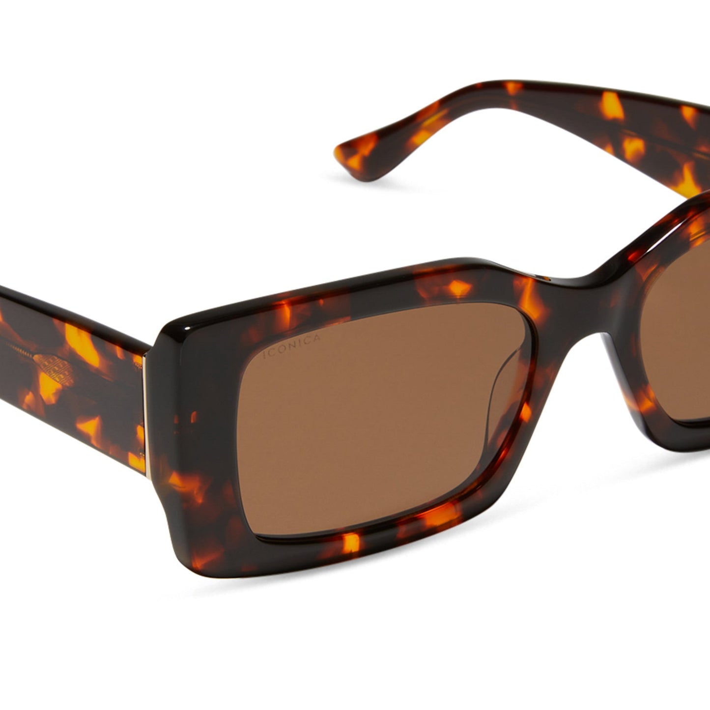 ALESSANDRA - RICH TORTOISE + BROWN + POLARIZED SUNGLASSES